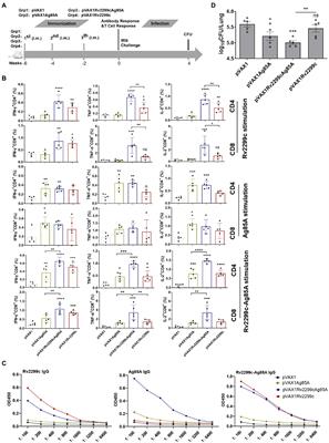 Heterologous prime-boost BCG with DNA vaccine expressing fusion antigens Rv2299c and Ag85A improves protective efficacy against Mycobacterium tuberculosis in mice